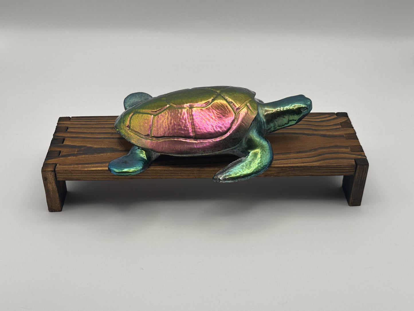 Sea Turtle Decoration