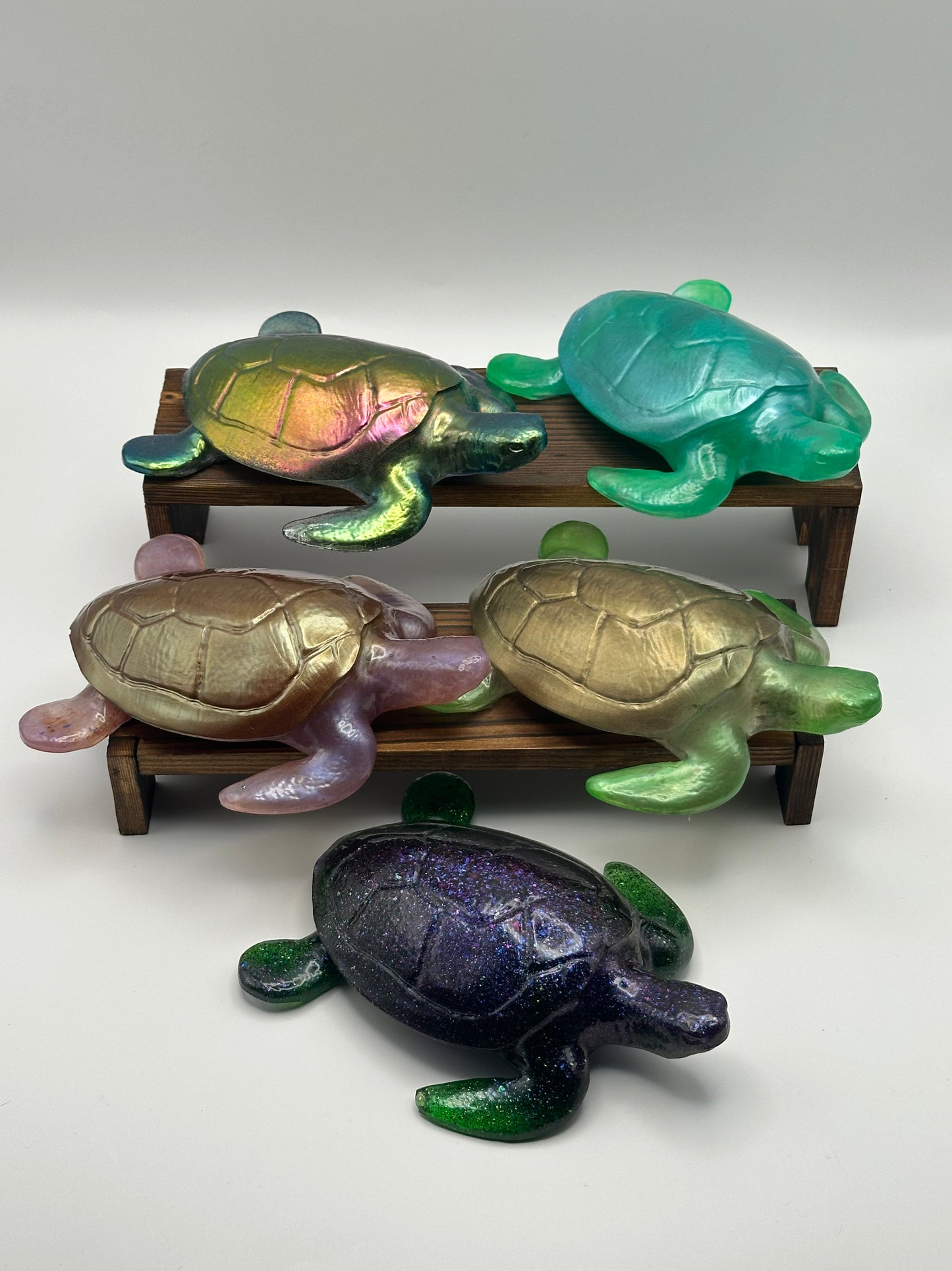 Sea Turtle Decoration