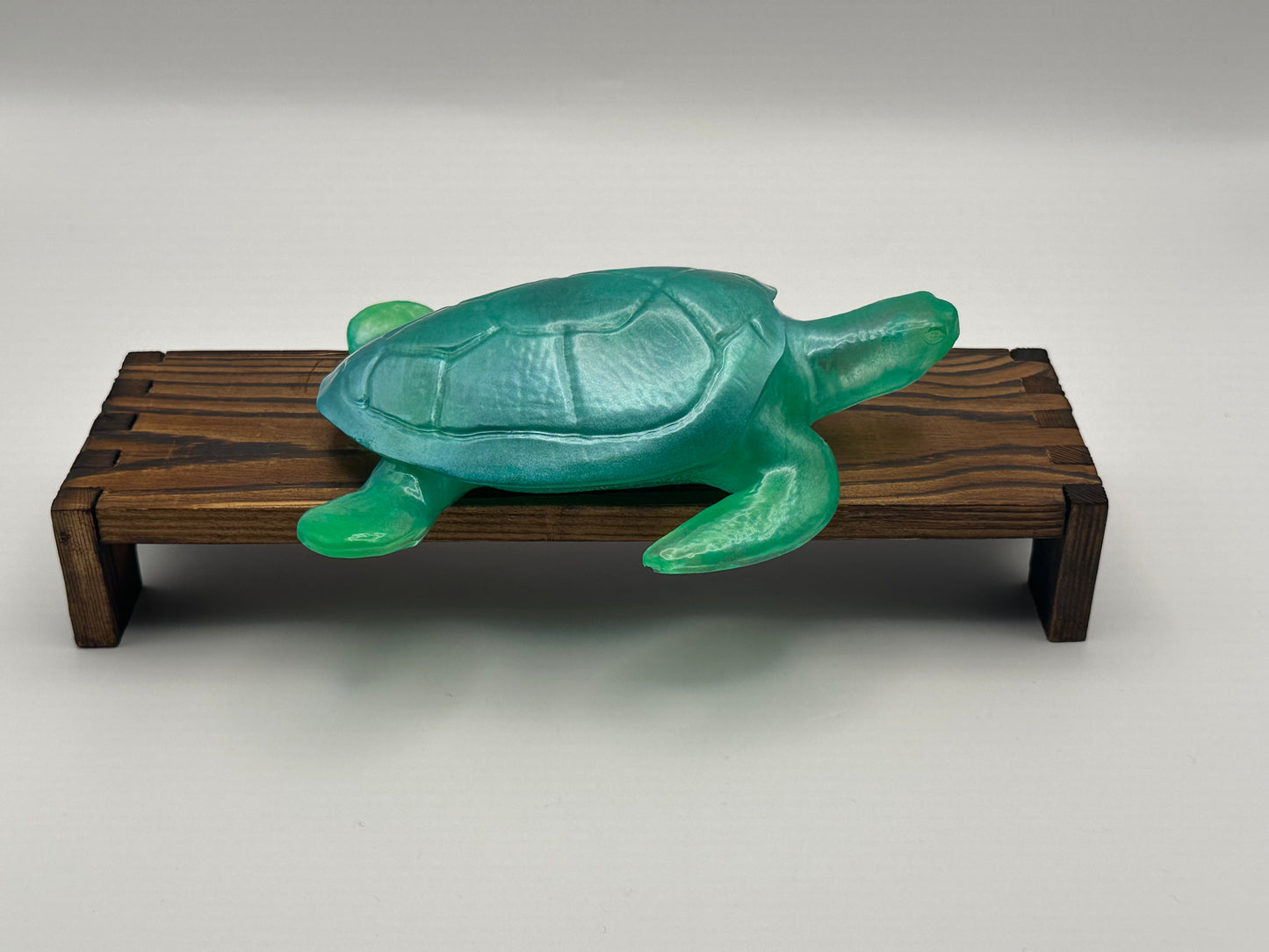 Sea Turtle Decoration