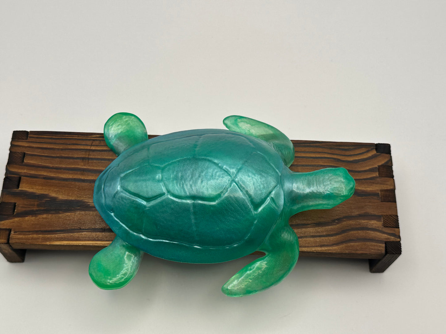 Sea Turtle Decoration