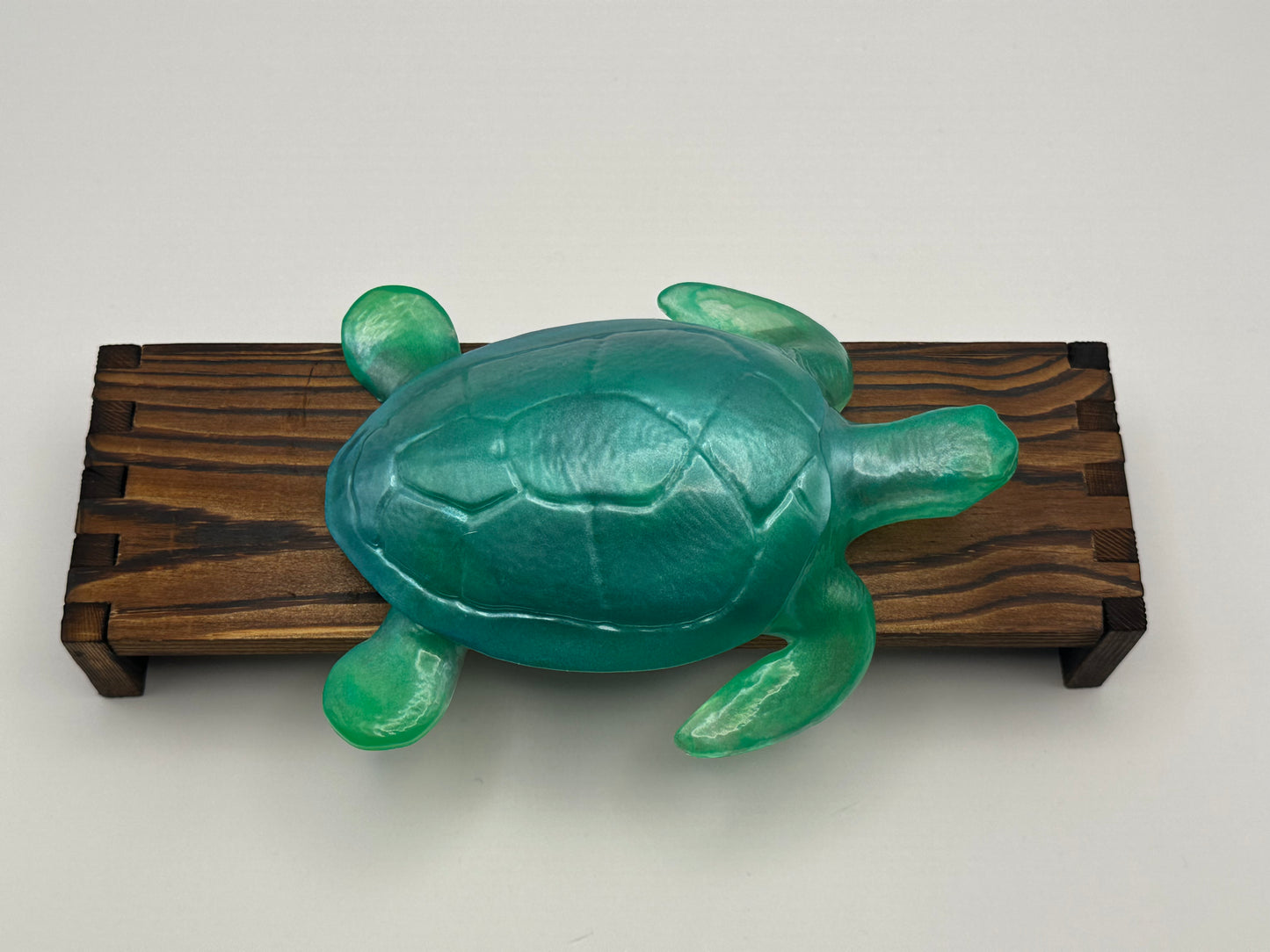 Sea Turtle Decoration
