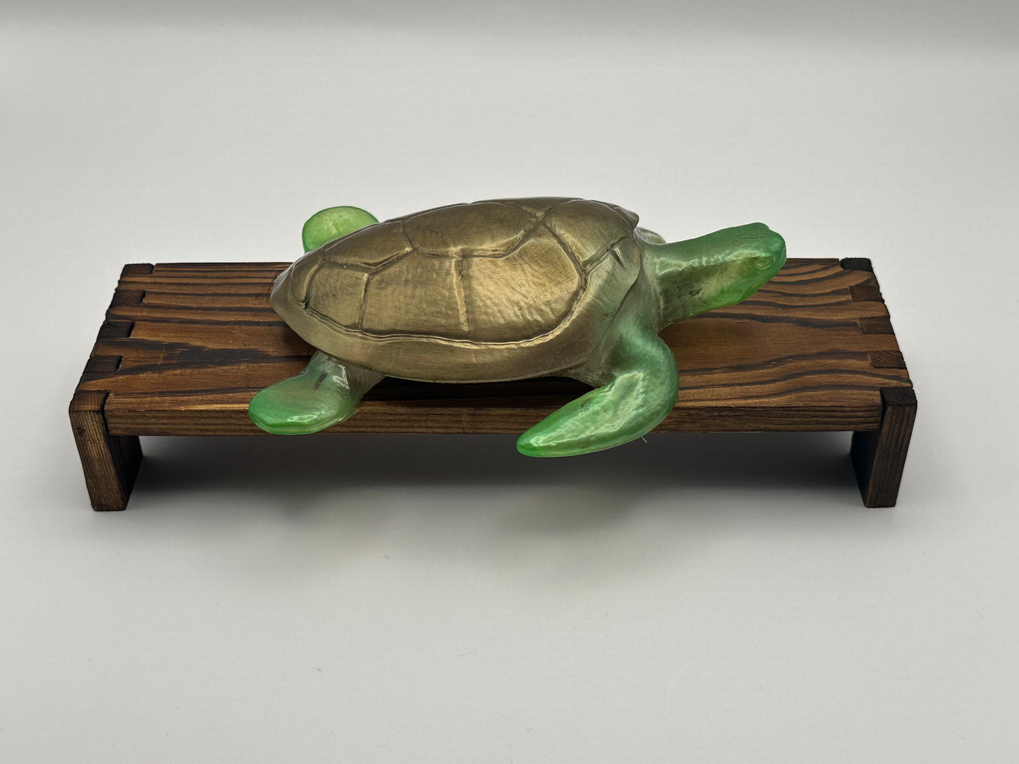 Sea Turtle Decoration