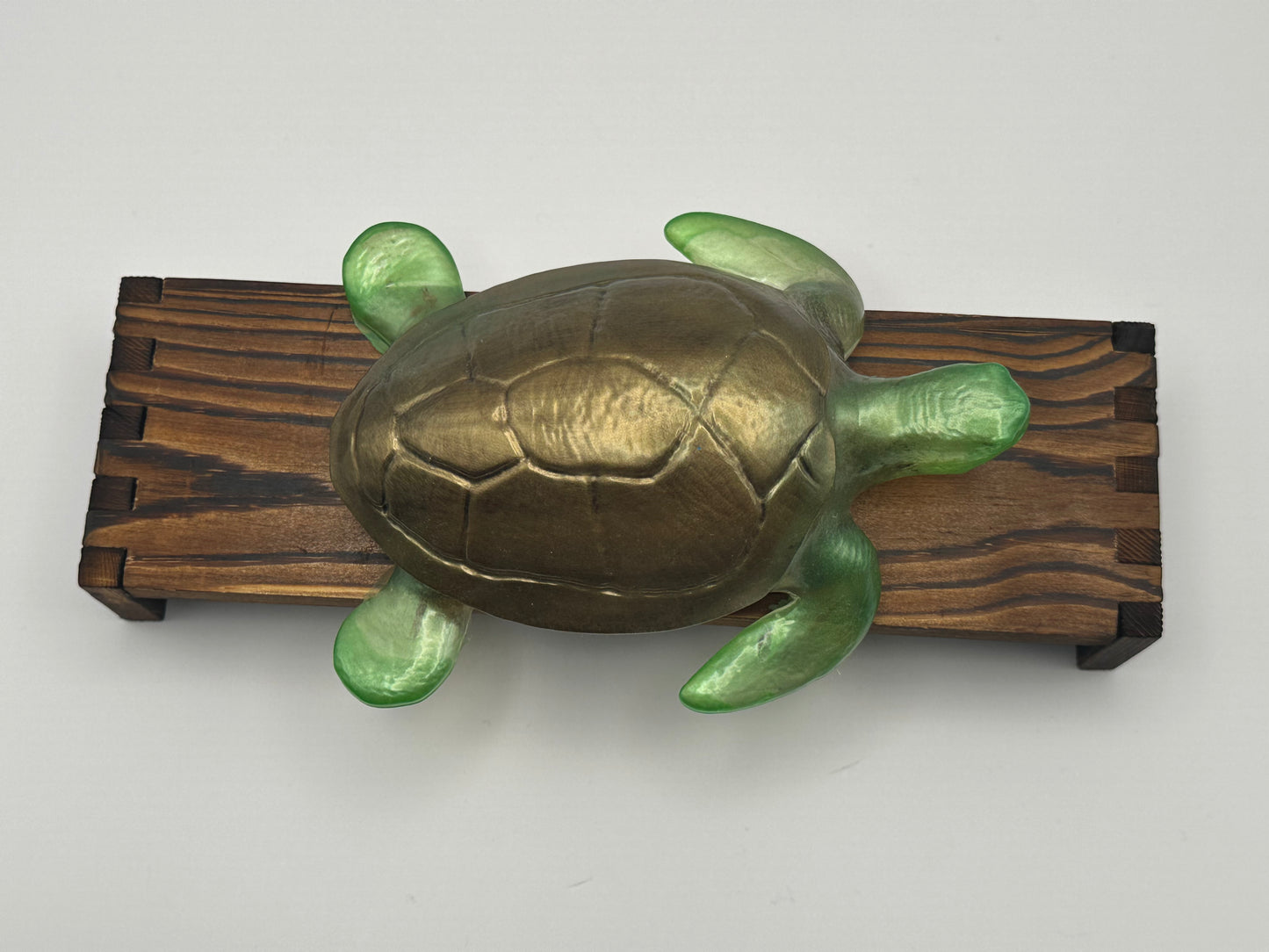 Sea Turtle Decoration