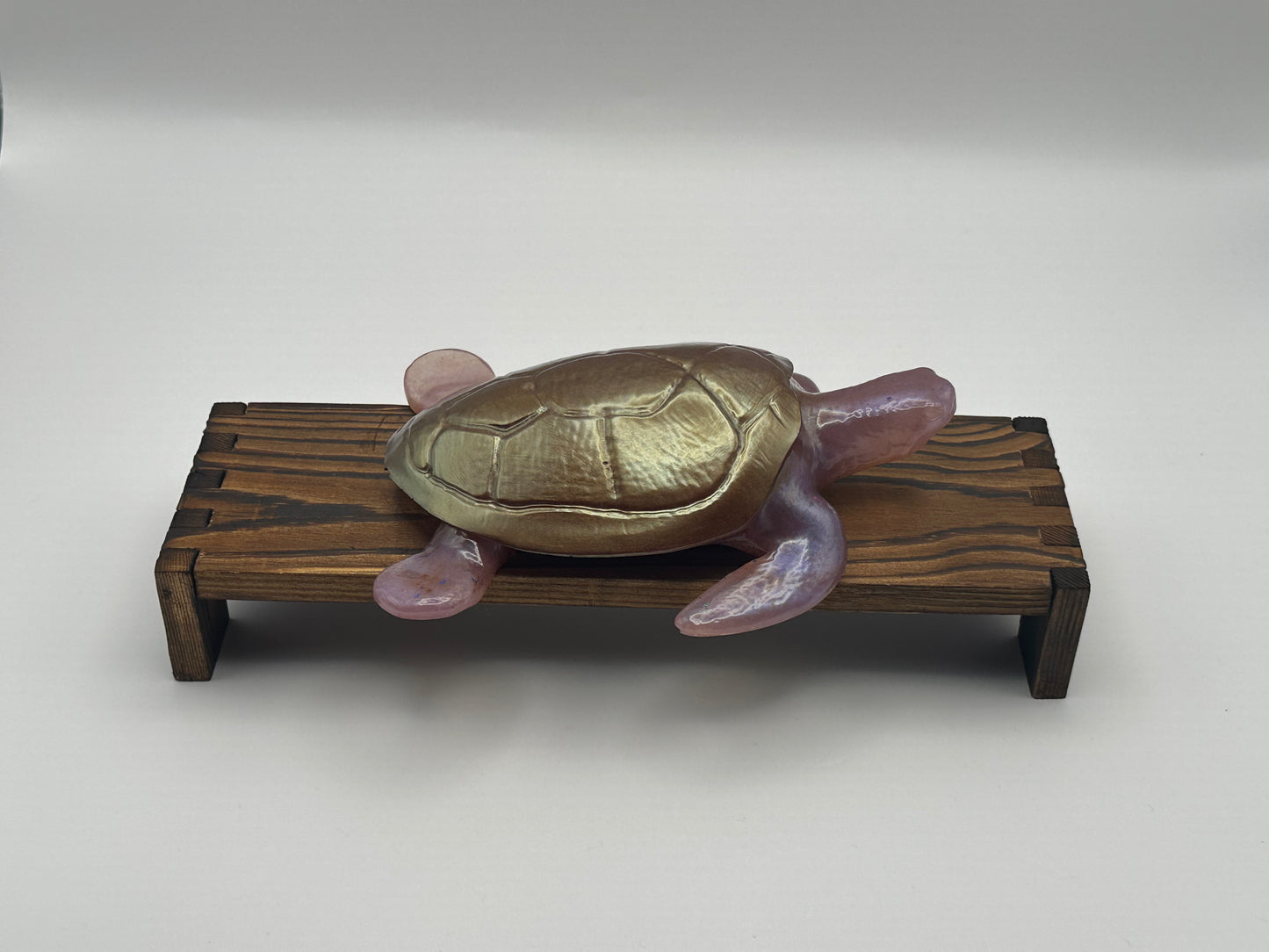 Sea Turtle Decoration