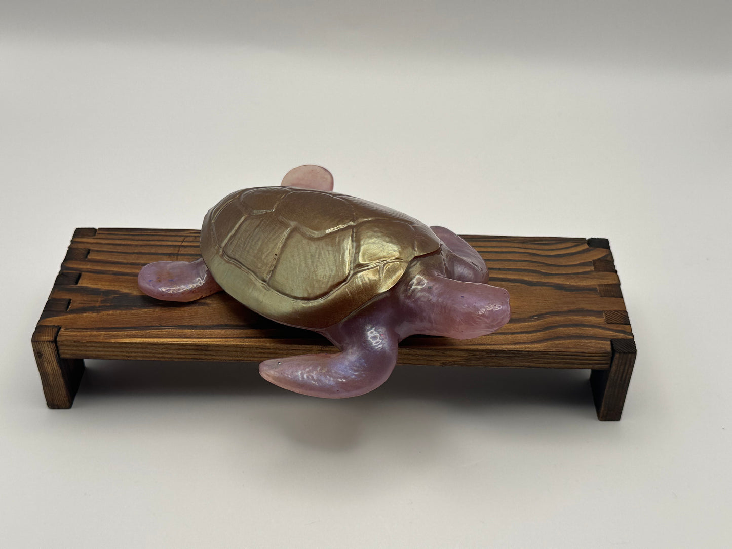 Sea Turtle Decoration