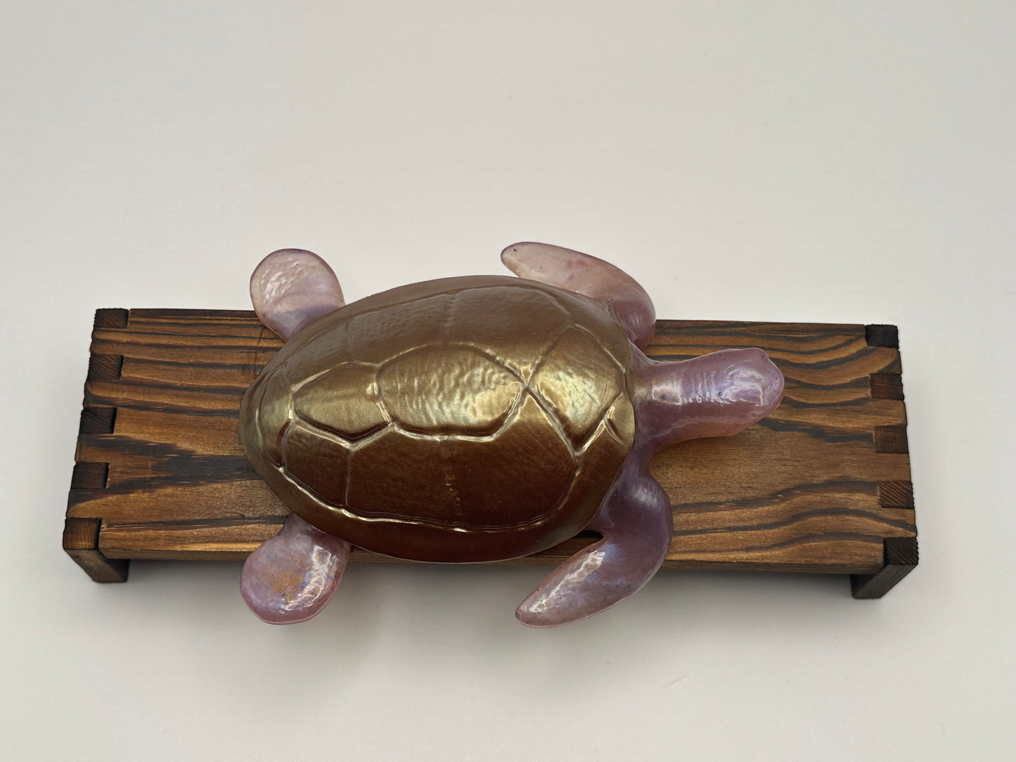 Sea Turtle Decoration