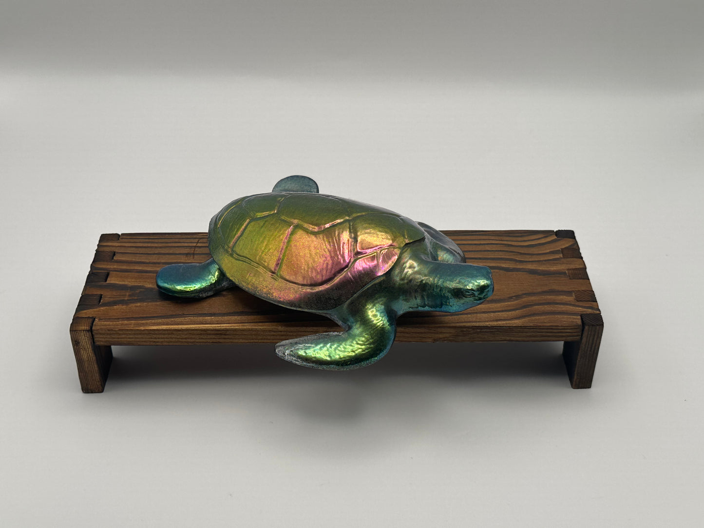 Sea Turtle Decoration