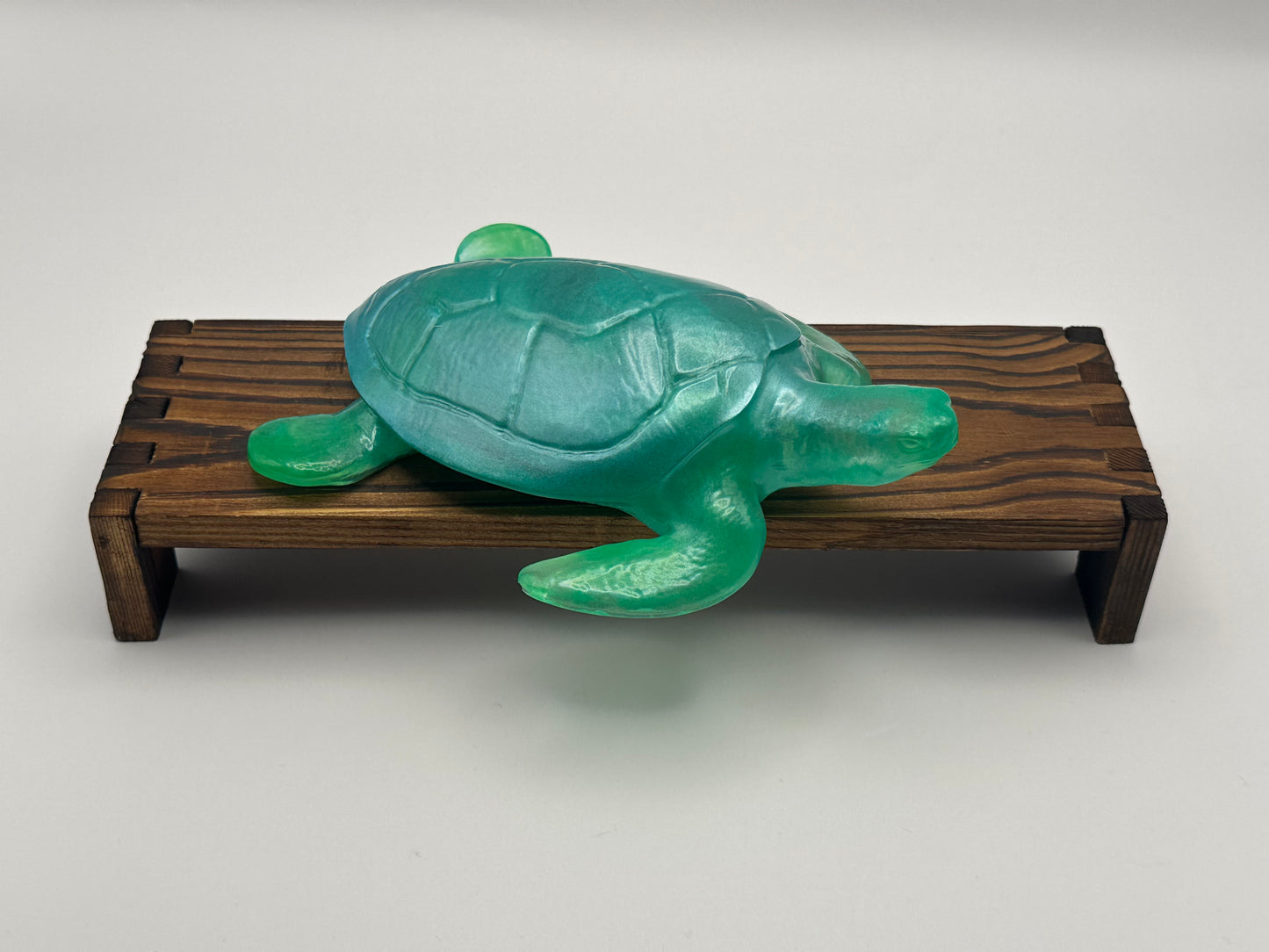 Sea Turtle Decoration